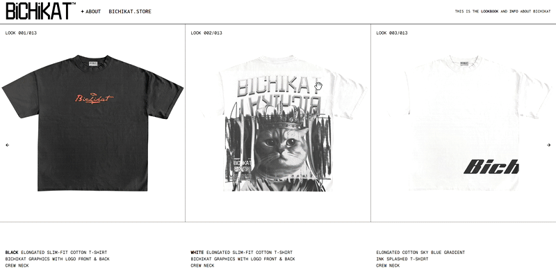 Navigation flow diagram showing user pathways